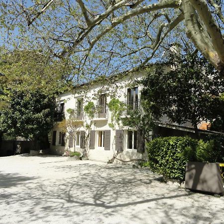 Hotel De L'Ile Avignon Exteriör bild